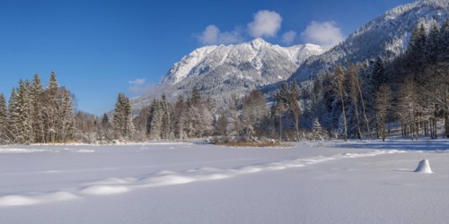 Marsh pond near Oberstdorf