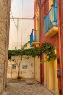 Alley in Polignano a Mare