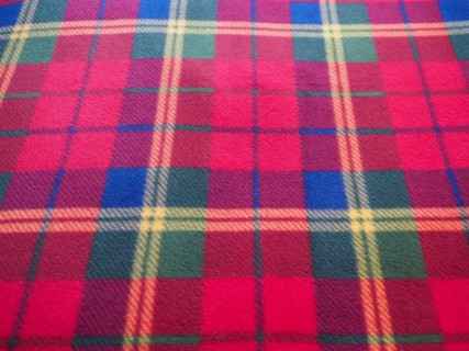Red green blue and yellow tartan texture background