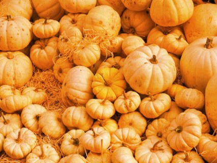 Pumpkin vegetarian food