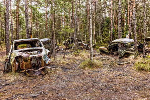 Car graveyard in the middle of the forest near Ryd