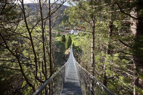 Suspension bridge