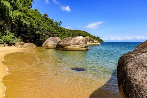 Paradisiacal and deserted beach surrounded by rainforest in Ilha Grande bay in Angra dos Reis on the coast of Rio de Janeiro