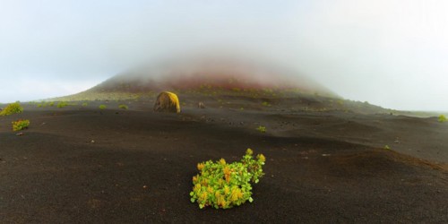 Canary Island amphora