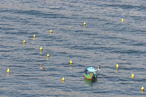 Fishing boat