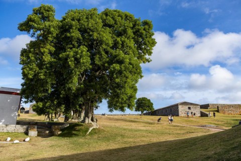 Fort of Santa Teresa