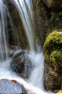 Small stream and waterfall among the moss