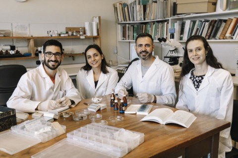 Group of scientists studying herbarium material seated at a common table in the laboratory. Teamwork. Research projects