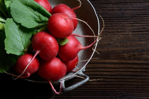 Bunch of radish
