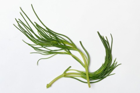 Monk's beard