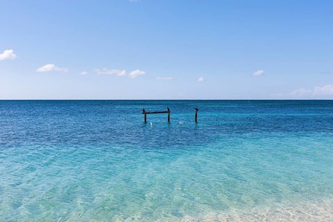 Sea