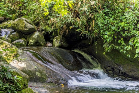Small cascade and mossy rocks among the vegetation of the tropical forest in its natural state in the region of Itatiaia in the state of Rio de Janeiro