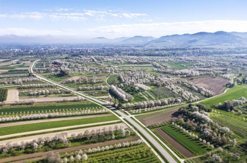 Spring in the Renchtal in the Ortenau