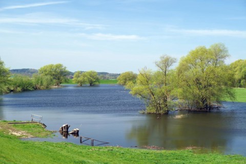 Flooded Elbe oxbow lakes in spring