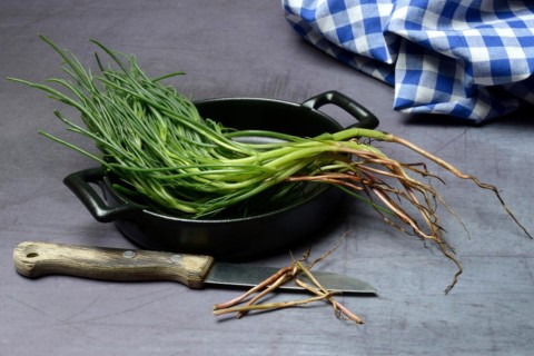 Monk's beard with knife on pot