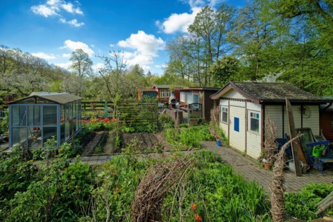 Allotment garden