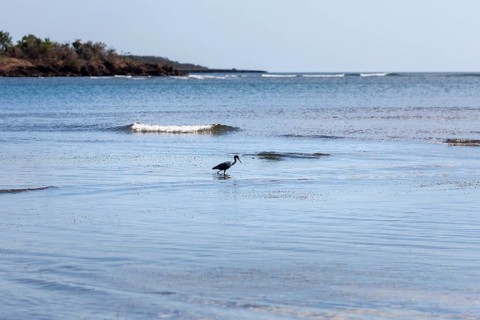 Sea