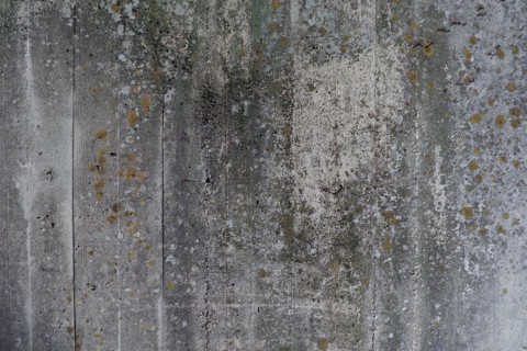 Grey concrete texture background