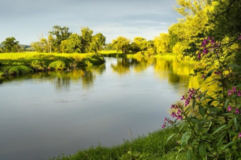 The river Regen in the evening at golden hour