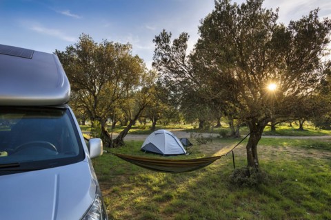 Camping site