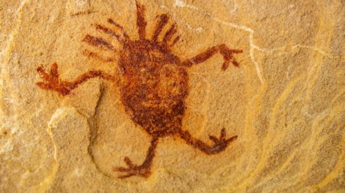 Rock art painting at Pedra Furada