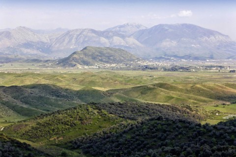 Landscape
