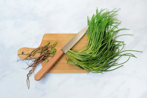 Monk's beard with knife on wooden board