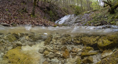 Forest stream with waterfall in the UNESCO World Heritage Beech Forest in the Limestone Alps National Park