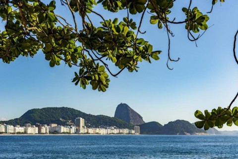 View of Copacabana beach and Sugarloaf Mountain in Rio de Janeiro through the vegetation