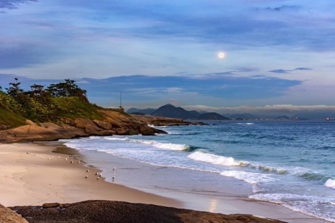 Seagulls resting on the beach at dusk with the moon hovering over the Ipanema Sea
