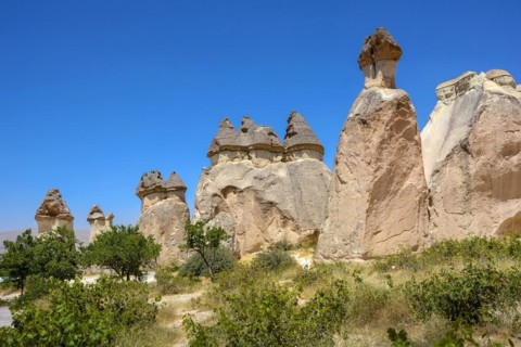 Typical and inhabited rock formations in the Cappadocia region of Turkey with blue sky and vegetation