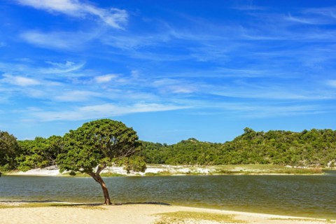 Famous Abaete Lagoon in Salvador
