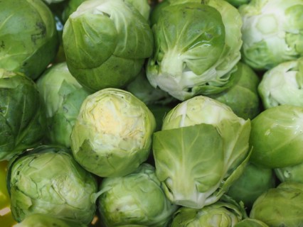 Brussels sprout cabbage vegetables food