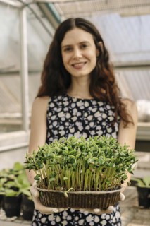 Scientist woman holding and showing the result of growing soybean seedlings in a greenhouse
