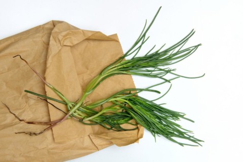 Monk's beard