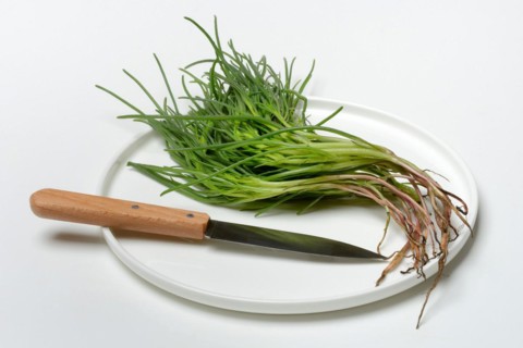 Monk's beard with knife on plate