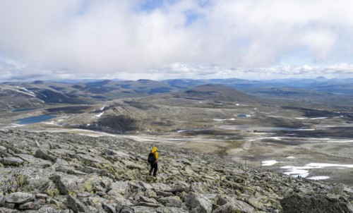 Mountaineer in the tundra
