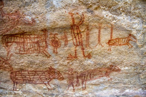 Rock art painting at Pedra Furada