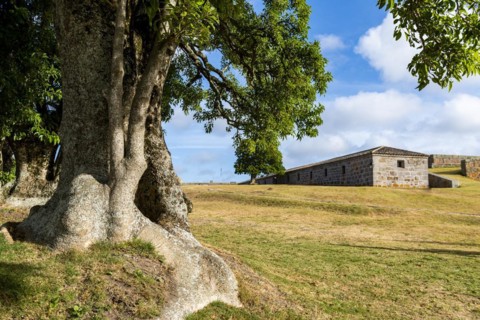Fort of Santa Teresa