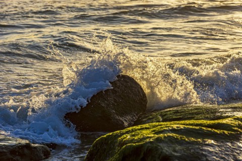 Water and sea foam splashing with waves crash against rocks during tropical sunset