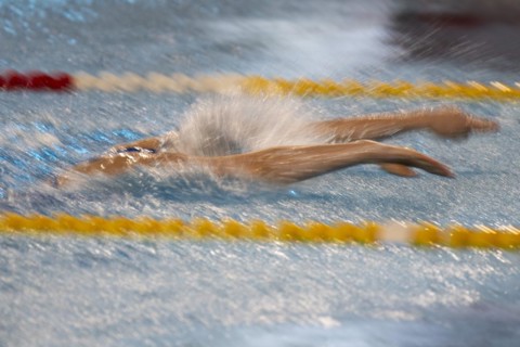 Swimmer