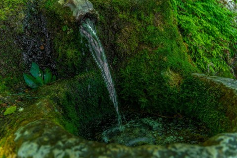 Spring of crystal clear