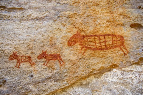 Rock art painting at Pedra Furada