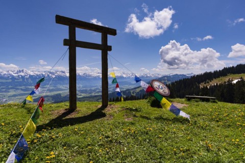 Torii on the Baerenkoepfle