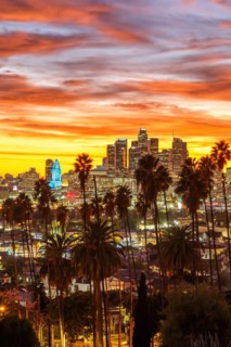 View of Downtown Los Angeles Skyline with Palm Trees at Sunset in California in Los Angeles