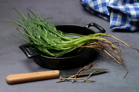 Monk's beard with knife on pot