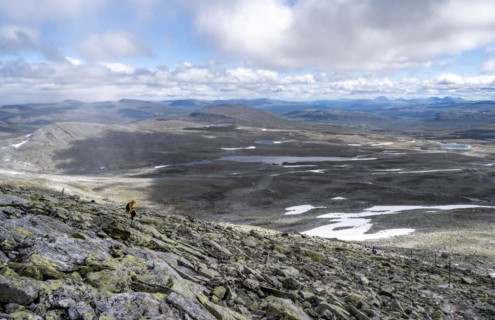 Tundra