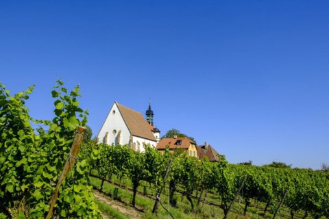 Pilgrimage church Maria im Weingarten