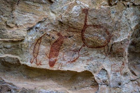 Rock art painting at Pedra Furada