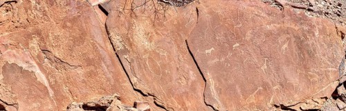 Rock engravings